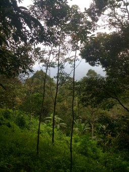 IMG_20190907_155057820_HDR